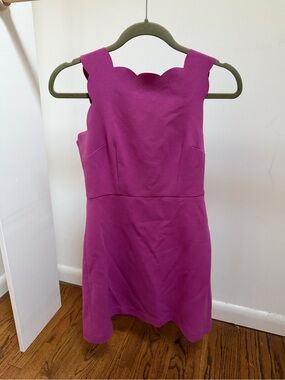 Loft Scalloped Neck Sheath Dress in Mauve/Magenta